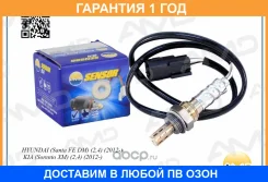 ������ ����������� ������ AMD / Amdsen556 �������� 12 ��� AMDSEN556 ����