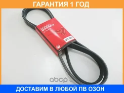 ������ ��������� [] Dongil / 6PK1893 �������� 12 ��� 6PK1893 ����