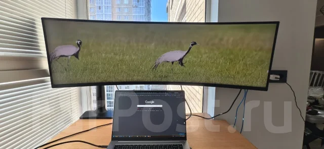Samsung. 49", ���������� OLED ����