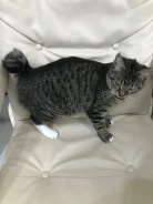 �����. ����