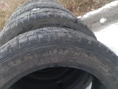 Dunlop Snow Express. ������, ��� �����, 2020 ���, �/�, ����� 50 %. �������� ������ ����
