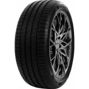 Delinte DS2
