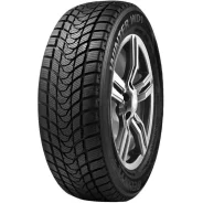 Delinte Winter WD1