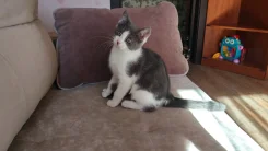�����. ����