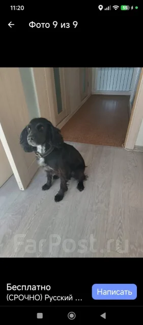 ����� ������ ����