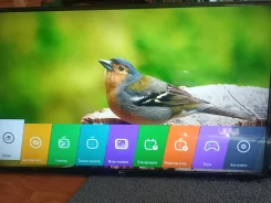 LG 49LH513V. LED ����