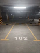 ����� �����������. . ��� ������ ����