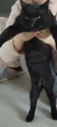 �����. ����