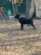 ��� �e���� ? ����