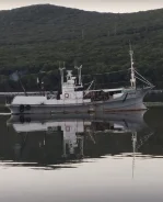 Yamaha VX Deluxe. 1986 ���, ����� 19,8��., ��������� ������������, 476��.�., ������ ����