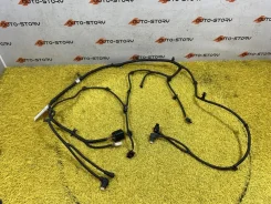 �������� (����) Ora Good Cat 4011202XNW12A 4011202XNW12A ����