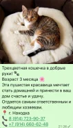 �����. ����