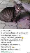 �����. ����