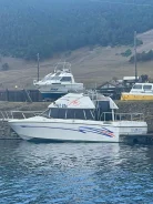 Bayliner. 1994 ���, ����� 8��., ��������� ������������, 260��.�., ������ ����