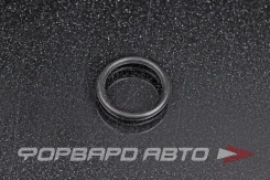 ������ �������������� ������������ 16*2,5 NOK OR-02.50_016.00 OR025001600 ����