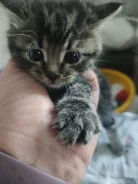 �����. ����