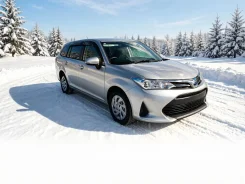 Toyota Corolla Fielder. ��� �������� ����