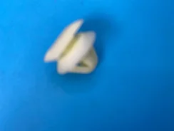 ������ ��������� E11451W24 E11451W24 ����