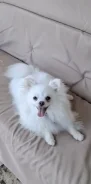 ������. ����