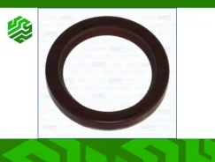 ������� ����������� � ����������� Ajusa 15012500 (�������) 15012500 ����