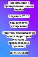 ��������������� �������. ����