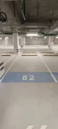 ����� �����������. . ��� ������ ����