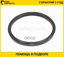 ��������� ���������� Toyota 1HZ,1FZFE 92- K1634666020 ����
