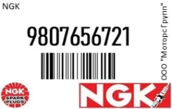 ����� ��������� ���������� NGK 9807656721 9807656721 ����