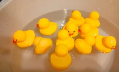 ������ ��� ������ ����