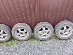 ���� ����